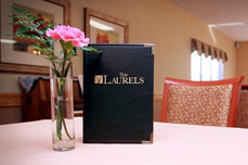 The Laurels of Huber Heights